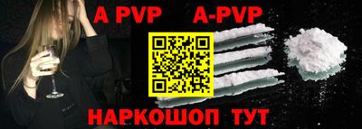 гашик Кингисепп