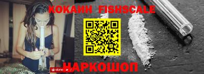 гашик Кингисепп