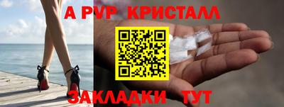 гашик Кингисепп