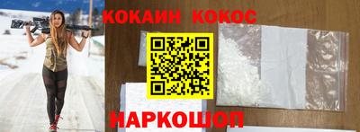 гашик Кингисепп