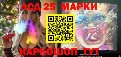 гашик Кингисепп
