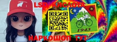 гашик Кингисепп