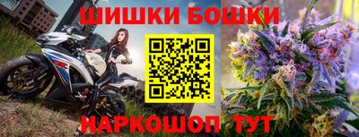 гашик Кингисепп
