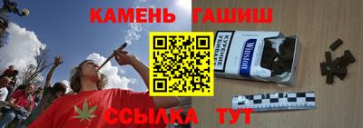 гашик Кингисепп