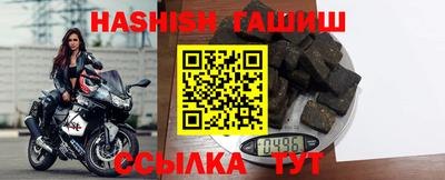 гашик Кингисепп